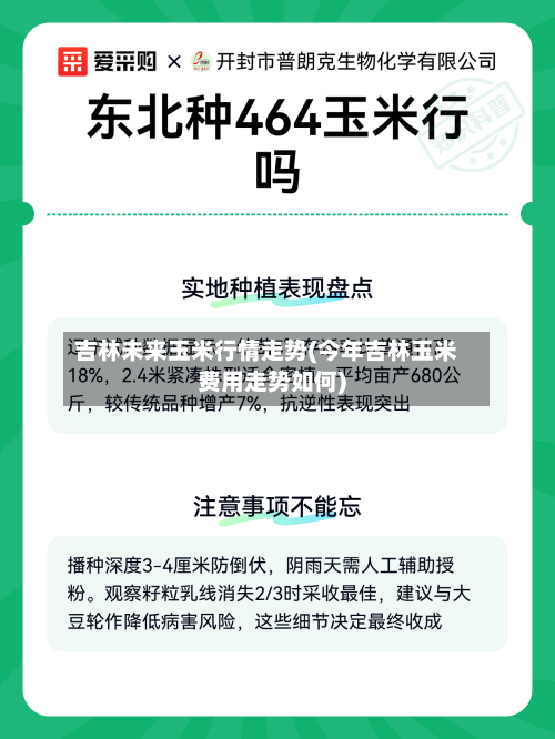 吉林未来玉米行情走势(今年吉林玉米费用走势如何)