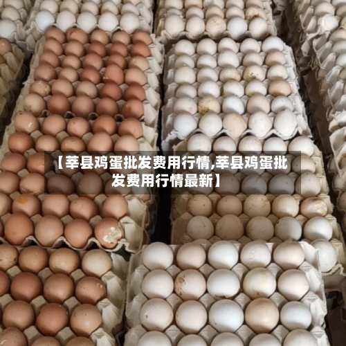 【莘县鸡蛋批发费用行情,莘县鸡蛋批发费用行情最新】