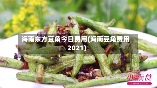 海南东方豆角今日费用(海南豆角费用2021)