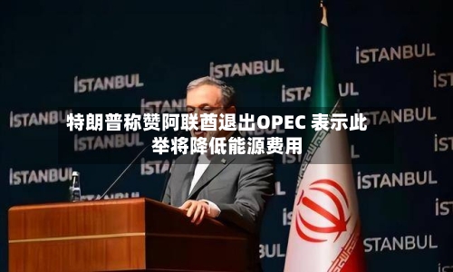 特朗普称赞阿联酋退出OPEC 表示此举将降低能源费用
-第3张图片