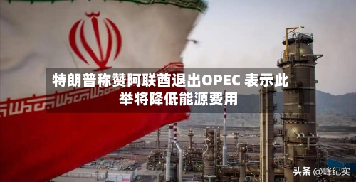 特朗普称赞阿联酋退出OPEC 表示此举将降低能源费用
-第2张图片