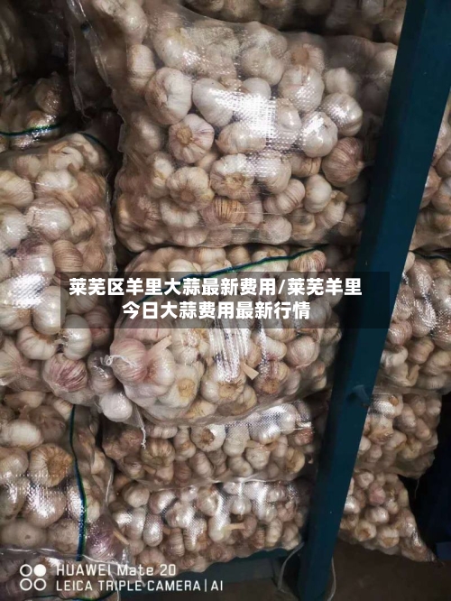 莱芜区羊里大蒜最新费用/莱芜羊里今日大蒜费用最新行情