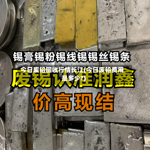 今日废铅回收行情长江(今日废铅费用是多少?)