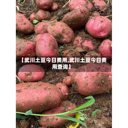 【武川土豆今日费用,武川土豆今日费用查询】