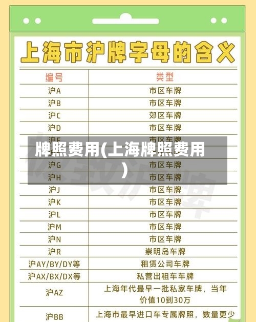 牌照费用(上海牌照费用)
