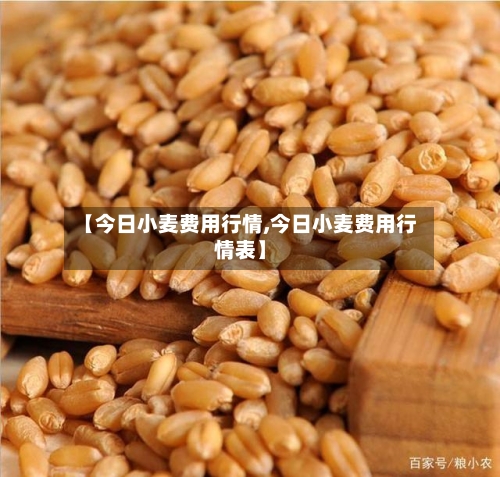 【今日小麦费用行情,今日小麦费用行情表】