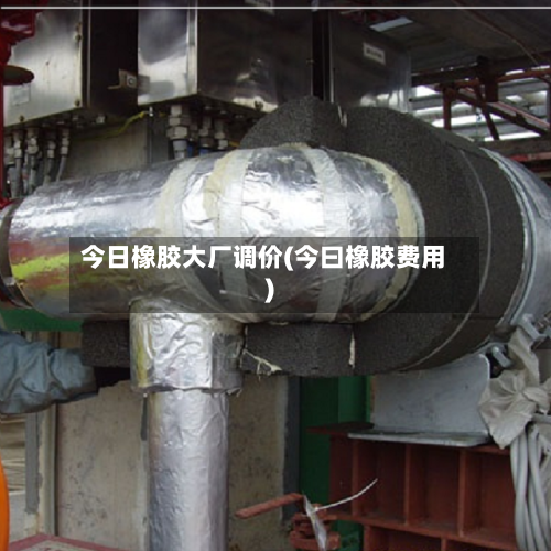 今日橡胶大厂调价(今曰橡胶费用)