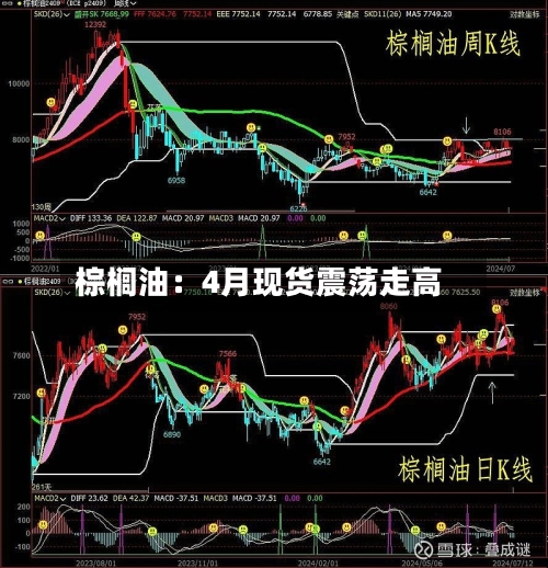 棕榈油：4月现货震荡走高