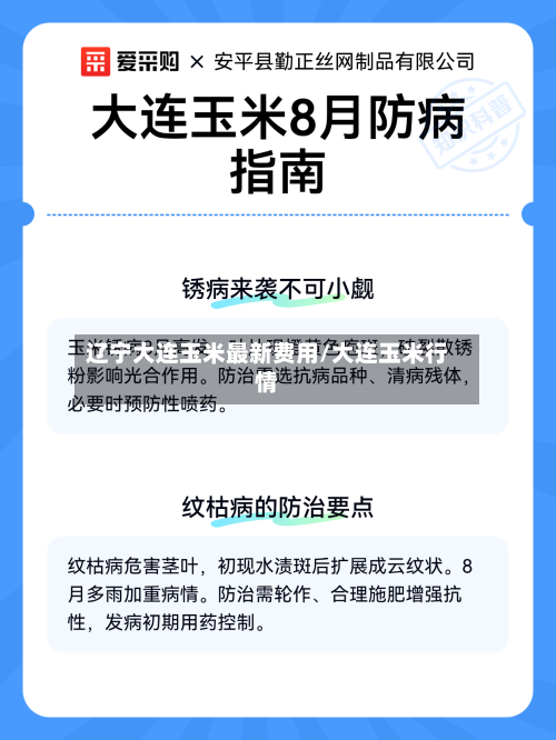辽宁大连玉米最新费用/大连玉米行情