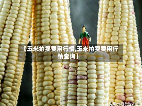 【玉米拍卖费用行情,玉米拍卖费用行情查询】