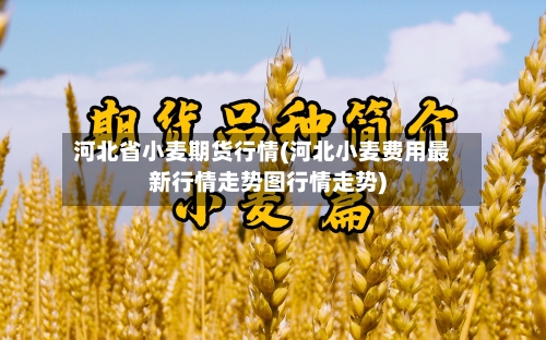 河北省小麦期货行情(河北小麦费用最新行情走势图行情走势)