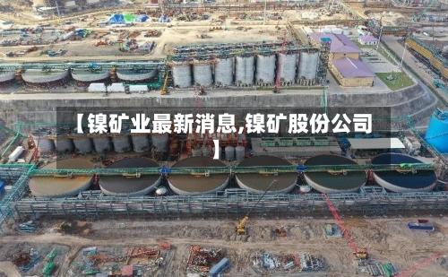 【镍矿业最新消息,镍矿股份公司】