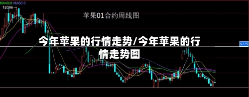 今年苹果的行情走势/今年苹果的行情走势图