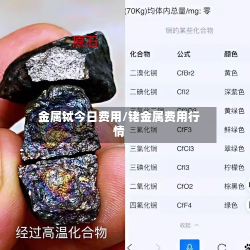 金属铽今日费用/铑金属费用行情