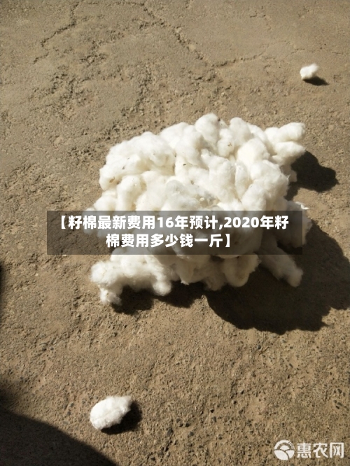【籽棉最新费用16年预计,2020年籽棉费用多少钱一斤】