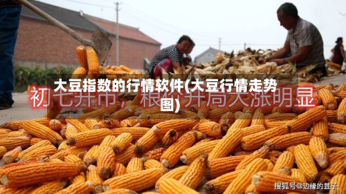 大豆指数的行情软件(大豆行情走势图)