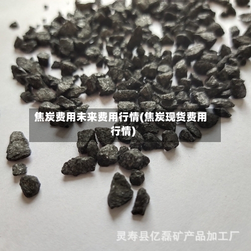 焦炭费用未来费用行情(焦炭现货费用行情)