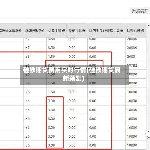 硅铁期货费用实时行情(硅铁期货最新预测)