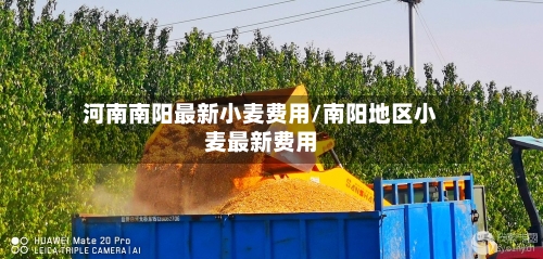 河南南阳最新小麦费用/南阳地区小麦最新费用