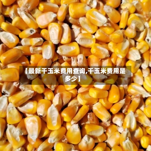 【最新干玉米费用查询,干玉米费用是多少】