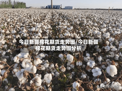 今日新疆棉花期货走势图/今日新疆棉花期货走势图分析