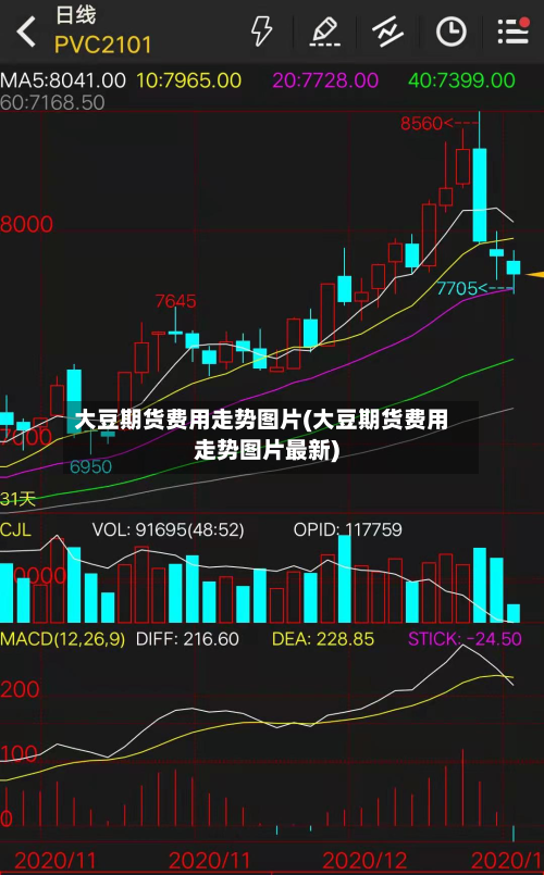 大豆期货费用走势图片(大豆期货费用走势图片最新)