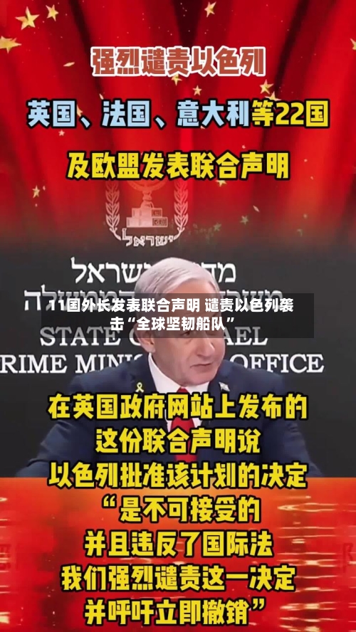 11国外长发表联合声明 谴责以色列袭击“全球坚韧船队”-第2张图片