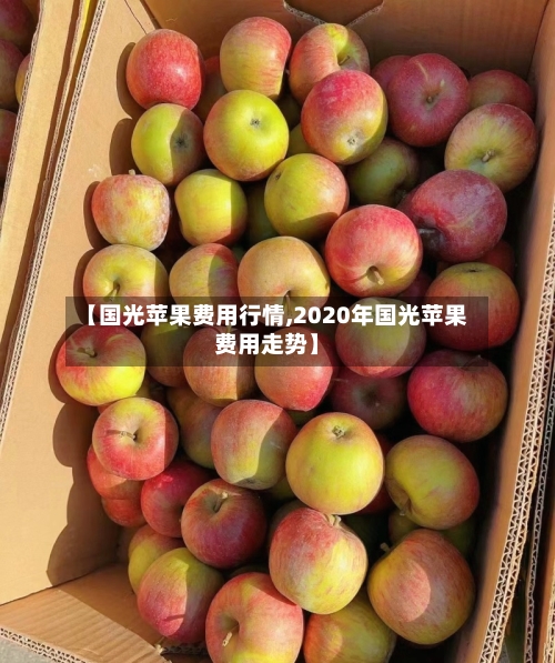 【国光苹果费用行情,2020年国光苹果费用走势】