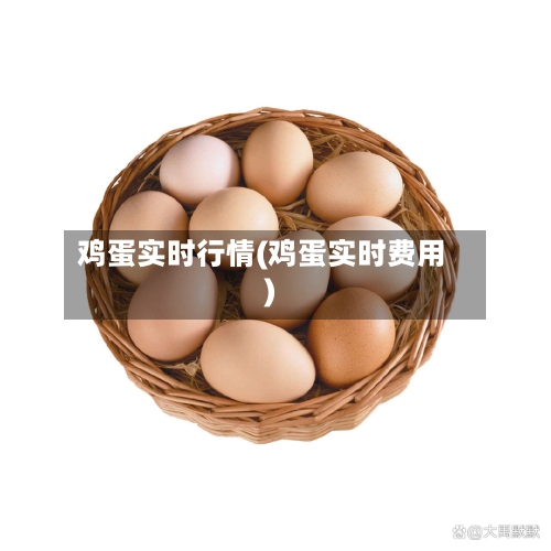 鸡蛋实时行情(鸡蛋实时费用)