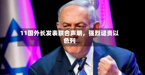 11国外长发表联合声明，强烈谴责以色列