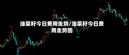 油菜籽今日费用走势/油菜籽今日费用走势图