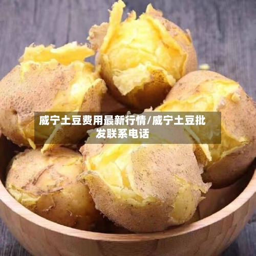 威宁土豆费用最新行情/威宁土豆批发联系电话