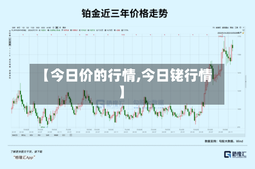 【今日价的行情,今日铑行情】