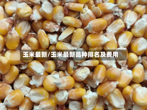 玉米最新/玉米最新品种排名及费用