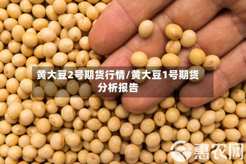 黄大豆2号期货行情/黄大豆1号期货分析报告