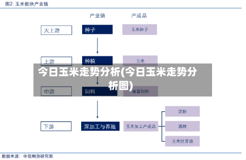 今日玉米走势分析(今日玉米走势分析图)