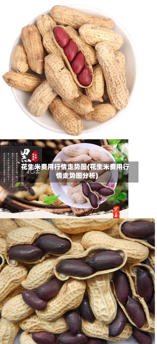 花生米费用行情走势图(花生米费用行情走势图分析)