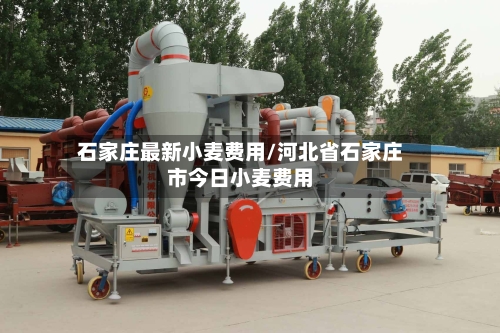 石家庄最新小麦费用/河北省石家庄市今日小麦费用