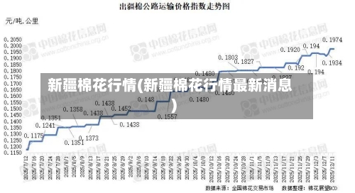 新疆棉花行情(新疆棉花行情最新消息)