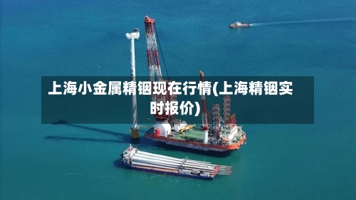 上海小金属精铟现在行情(上海精铟实时报价)