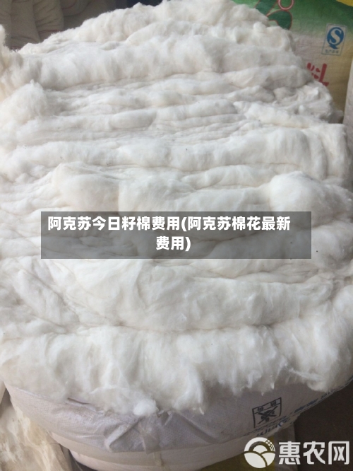 阿克苏今日籽棉费用(阿克苏棉花最新费用)