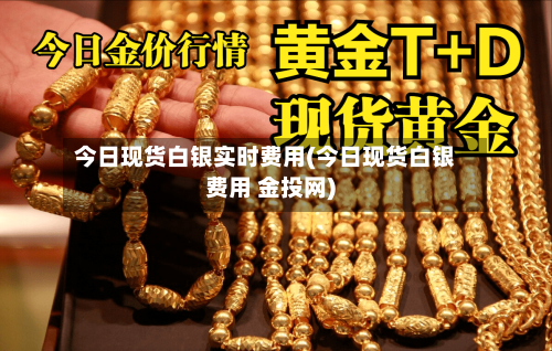 今日现货白银实时费用(今日现货白银费用 金投网)