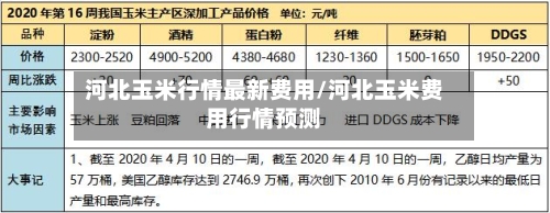 河北玉米行情最新费用/河北玉米费用行情预测-第2张图片