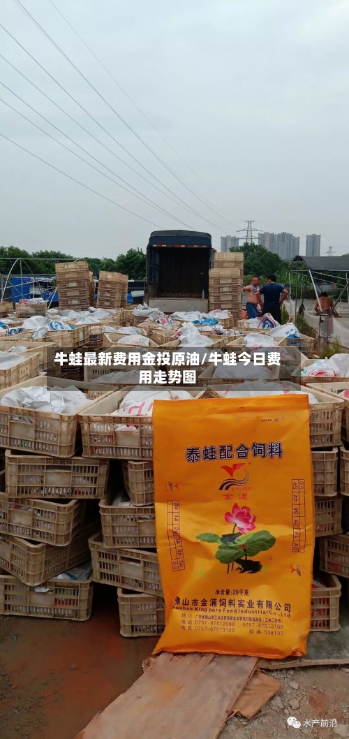 牛蛙最新费用金投原油/牛蛙今日费用走势图
