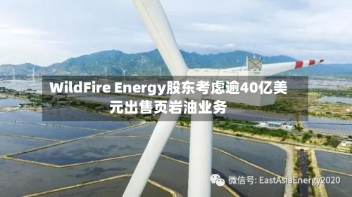 WildFire Energy股东考虑逾40亿美元出售页岩油业务
