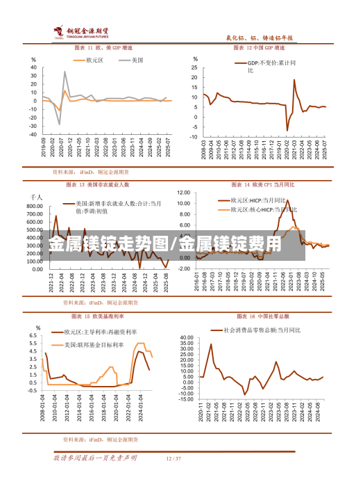 金属镁锭走势图/金属镁锭费用