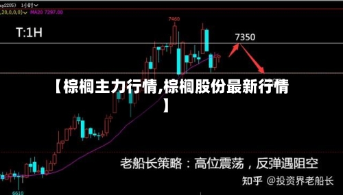 【棕榈主力行情,棕榈股份最新行情】