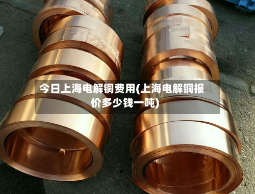 今日上海电解铜费用(上海电解铜报价多少钱一吨)