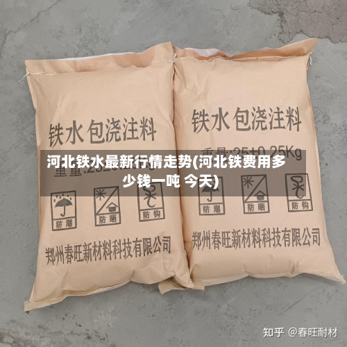 河北铁水最新行情走势(河北铁费用多少钱一吨 今天)