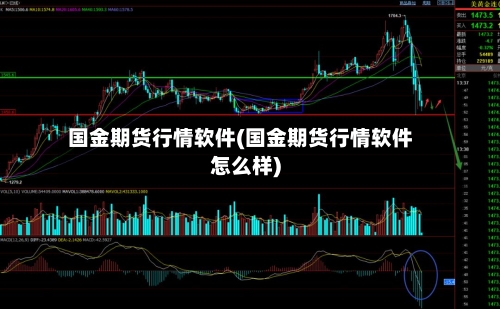 国金期货行情软件(国金期货行情软件怎么样)